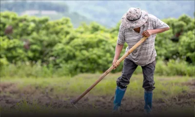 Secteur agricole : 115 211 tonnes de légumes produites en un an