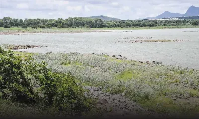 Pénurie d’eau : le potentiel inexploité du captage individuel