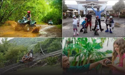 Activités terrestres : entre la faune et la flore