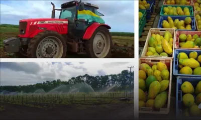 Didier Charoux,  Head of Agriculture à Medine : «Le confinement est un vrai challenge pour Les Jardins de Medine»