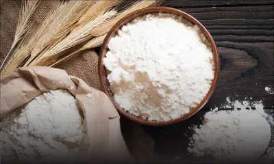 « Farine avariée » : Les Moulins de la Concorde met les points sur les « i » 