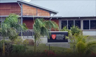 [Blog] Strategic Peer Partnerships: Catalysts for National Reforms