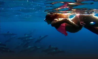 Les sorties en mer: un divertissement lucratif