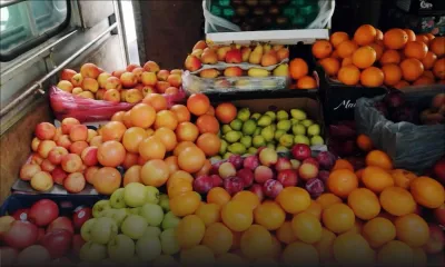 Consommation - Fruits : les prix à la baisse 