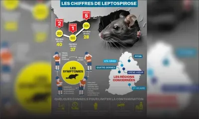 Leptospirose : cinq décès enregistrés