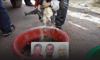 Arrêtés avec Rs 560 M de drogue à Madagascar : Avoula, Leratz et Plaiche seront jugés sous une accusation différente à Maurice