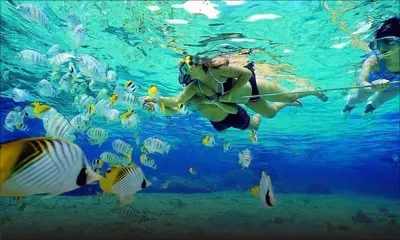 Autour des aires marines protégées : des emplois alternatifs recherchés  pour les anciens pêcheurs