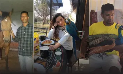 Animaux domestiques : des compagnons qui coûtent cher