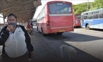 Gare de Cité Vallijee : deux receveuses d’autobus victimes de morsures de chiens errants