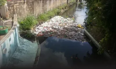 Who Cares ? : vue du pont Fortune Way à Flacq