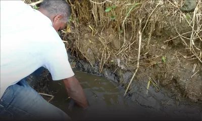 Pollution marine : une étude sur les risques écologiques commanditée