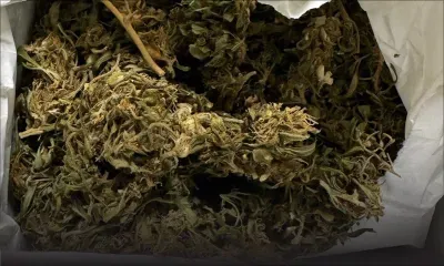 Explosion des cas - Overdose : entre 800 et 900 hospitalisations d’urgence en 2023