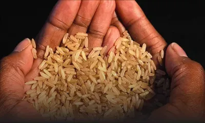 Extrême pauvreté: à quand la fin de la faim ?