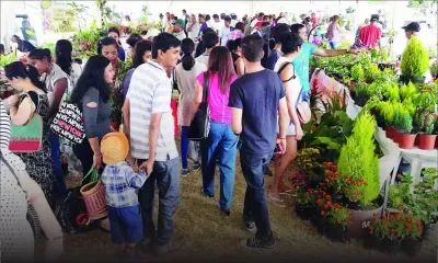 Salon de l’agriculture : place à l’innovation