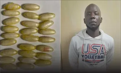 Plaisance : de l’héroïne d’une valeur de Rs 12 millions dans l’intestin d’une mule gambienne