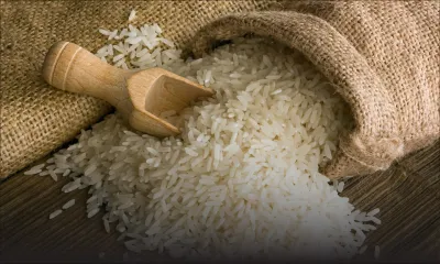 Riz basmati: un certificat d’authenticité bientôt réclamé
