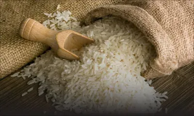 Eviter les contrefaçons - Riz Basmati: un accord arrêté entre l’Inde et Maurice