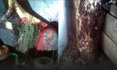 À Tamarin: un attirail de sorcellerie découvert