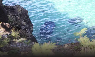 Macondé : une voiture finit dans le lagon