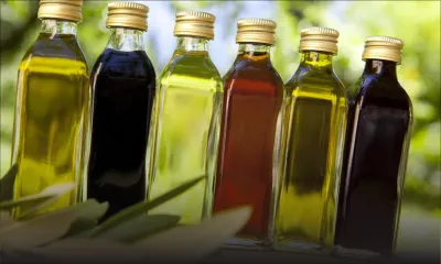 Huiles comestibles : légère baisse de prix