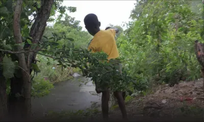 À Cité La Cure : le spectre d’un désastre hante les habitants