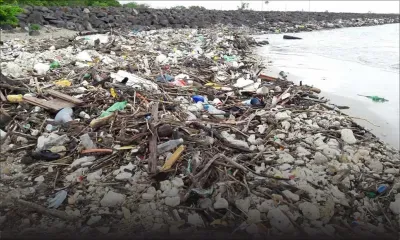 Les Salines : des bouteilles plastiques envahissent la rade 