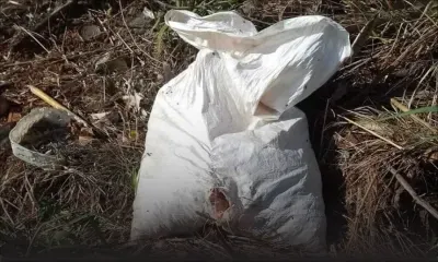 Victime de représailles après avoir dénoncé des pollueurs 