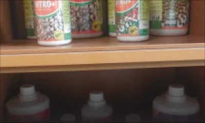 Bio farming: la demande croissante ouvre de nouvelles pistes