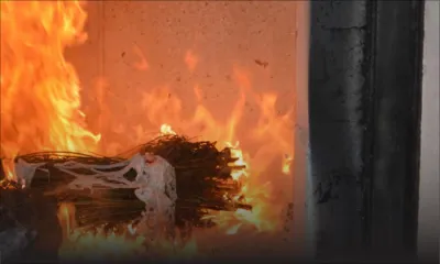 [Diaporama] Destruction de Rs 90 millions de drogue