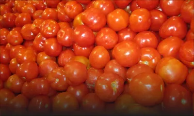 Inondations: l’importation de légumes reportée