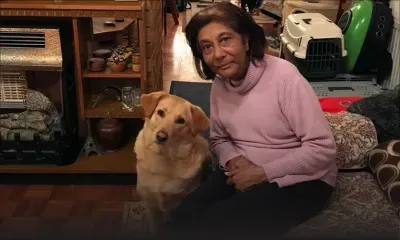 Amoureuse des animaux : une Mauricienne vivant en Angleterre se fait arnaquer