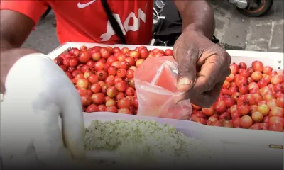 Consommation : les goyaves de Chine se vendent à Rs 25 le demi-kilo