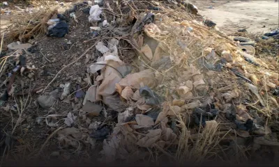 Sacs en plastique : vastes opérations pour débusquer des fabricants illégaux