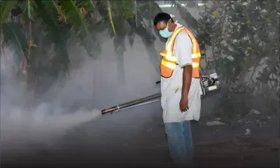 Dengue : la situation semble se stabiliser