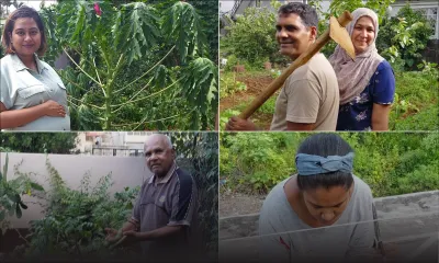 [En images] Confinement : du potager à la cuisine…