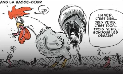 À qui profitent les crimes financiers ?