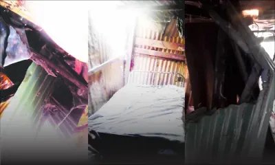 Un arbre s’écrase sur sa maison : elle est en quête de bois et de feuilles de tôle