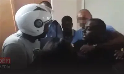 Lutte antidrogue : des chiens de race utilisés pour intimider des policiers