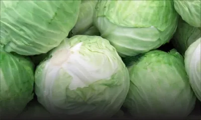 À Camp Caval, Curepipe : un voleur de choux arrêté