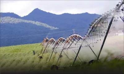 Performances : profits trimestriels de Rs 4,3 milliards pour les grands groupes