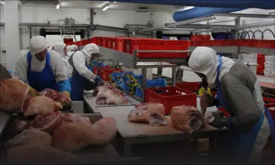 Offres d’emploi au Canada : des Mauriciens recherchés pour travailler dans l’agroalimentaire