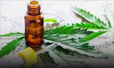 Dev Ramano sur la flexibilité pour le cannabis : «Il faut établir si on optera pour la dépénalisation ou la légalisation ?»