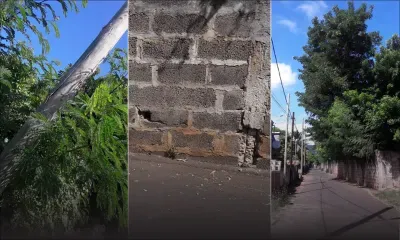 Concasseuse abandonnée, arbres dangereux et mur qui penche : attention danger à Le Hochet !