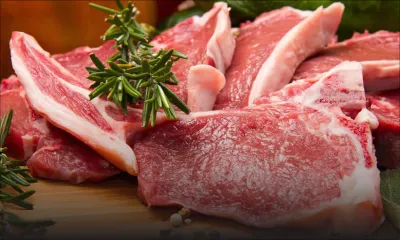 Mouton et agneau : hausse des prix jusqu’à 30%