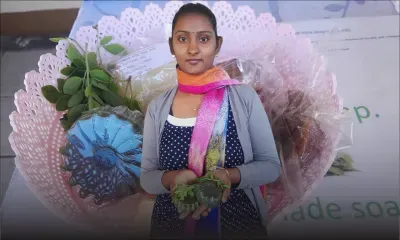 Des savonnettes à base de Moringa