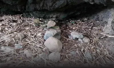 Trésor découvert à Rodrigues : un des découvreurs assure que ce n’est pas le trésor de La Buse