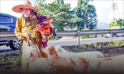 Santee Jainarain et ses toutous