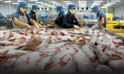 Maurice a vendu plus de Rs 3 milliards de poissons à l’étranger en 3 mois