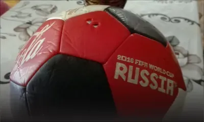 À Roche-Bois : un enfant mordu par un Rottweiler