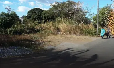 À Trèfles : un terrain abandonné source de nuisances